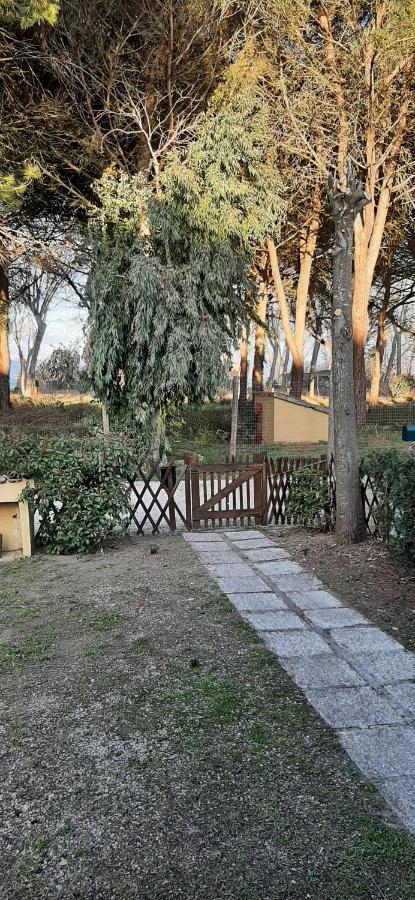 Albachiara Villa Castiglione del Lago Eksteriør billede